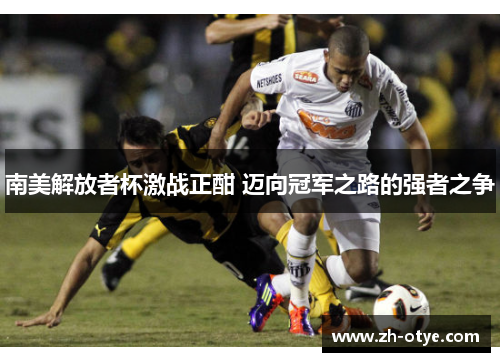 南美解放者杯激战正酣 迈向冠军之路的强者之争