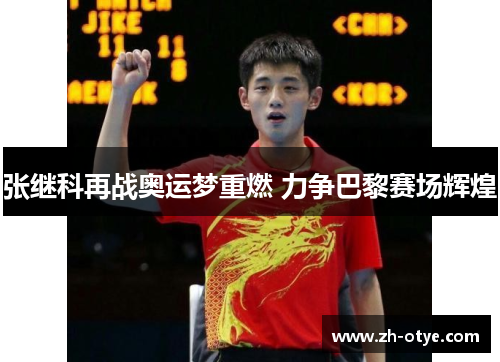 张继科再战奥运梦重燃 力争巴黎赛场辉煌