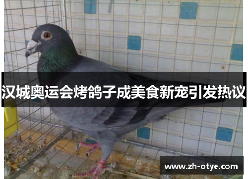 汉城奥运会烤鸽子成美食新宠引发热议